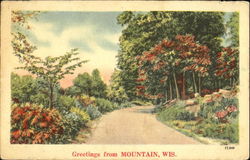 Greeting From Mountain Postcard