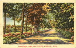 Greetings From Soldiers Grove Postcard