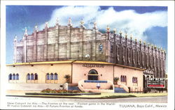 Tijuana Postcard