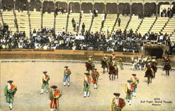 Bull Fight Postcard