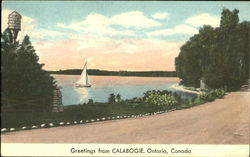 Greetings From Calabogie Postcard
