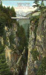 Suspension Bridge Postcard