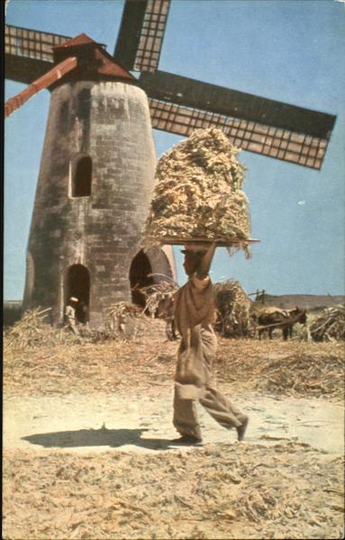 Old Fashioned Sugar Cane Windmill Barbados Caribbean Islands