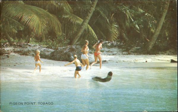 Pigeon Point Tobago Caribbean Islands