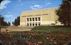 Denver Museum Of Natural History, Denver's Municipal Museum In City Park Postcard