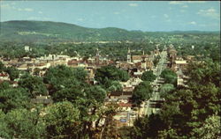 Tree-Top View Of Heart Of The City Postcard