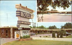 Peach Blossom Motel, Interstate Highway 85 at S. C. 9 Postcard