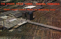 The Union Stock Yards Postcard