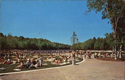 Bathing Area At Chenango Valley State Park, Chenango Valley State Park Chenango Forks, NY Postcard Postcard