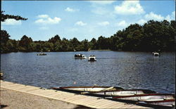 Cacapon Lake, Cacapon State Park Postcard