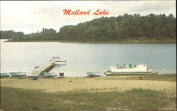 Mallard Lake Spooner, WI Postcard Postcard