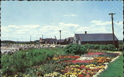 Colorful Gardens Rye Beach, NH Postcard Postcard