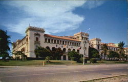 The School Of Tropical Medicine Postcard