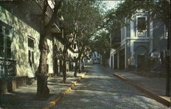 Typical Street Scene Postcard