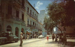 View Of Street Scene Postcard