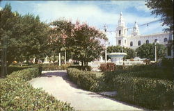 Greetings From Puerto Rico Postcard
