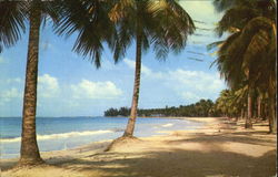 Luquillo Beach Postcard