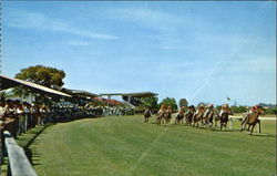Race Course, Jesselton Postcard