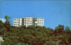 Signal Hill Flat, Jesselton Postcard
