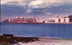 Trinidad & Tobago Postcard