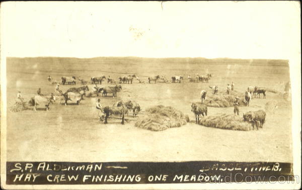 S. P. Alderman Hay Crew Finishing One Meadow Bassett Nebraska