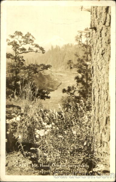Mt. Hood Mount Hood Oregon
