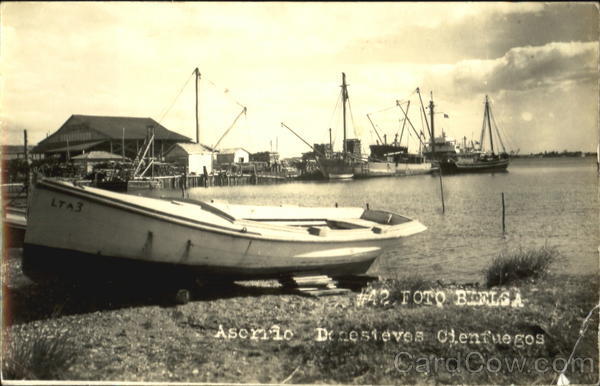 Foto Beeisa Cienfuegos Cuba