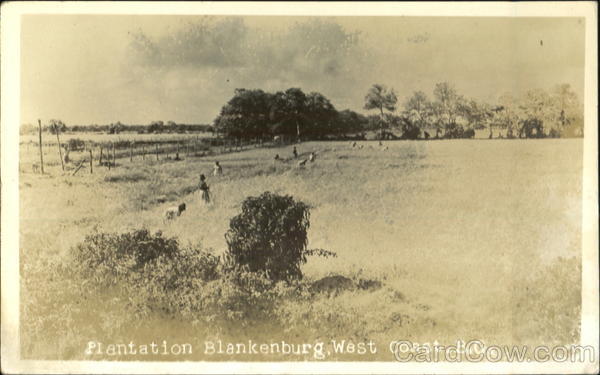 Plentation Blankenburg Guyana South America