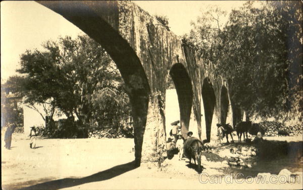 Archways Surrounded by Cattle and People Mexico