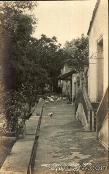 Jardin Borda Cuernavaca MORELOS Mexico