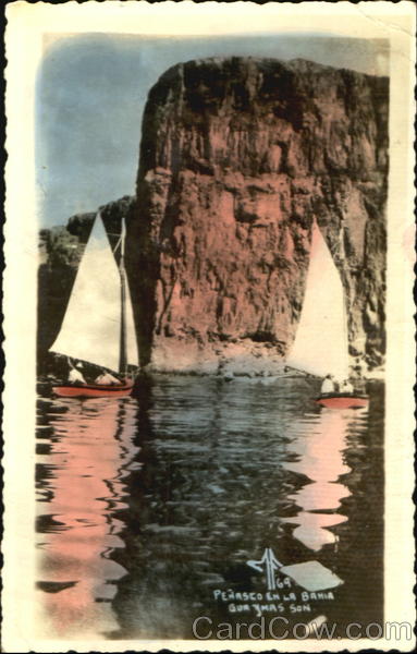 Perasco En La Bahia Mexico