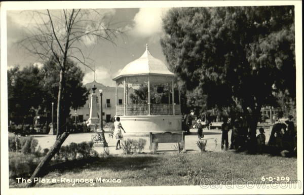 The Plaza-Reynose Reynosa Mexico