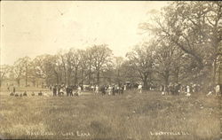 Base Ball Lake Eara Libertyville, IL Postcard Postcard