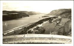 Looking East From Vista House Postcard