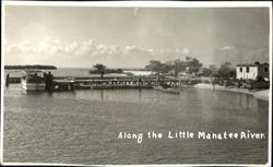 Along The Little Manatee River Postcard