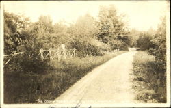 The South Road The South Road