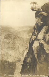Winkey At Glacier Point Postcard