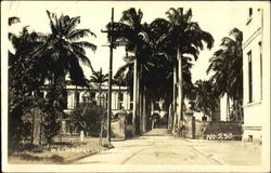 Washington Hotel Trinidad Caribbean Islands Postcard Postcard