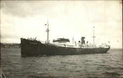 Fernlane Postcard