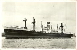 SS Axeldijk Holland Amerika Lijn Postcard