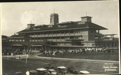 Race Course Horse Racing Postcard