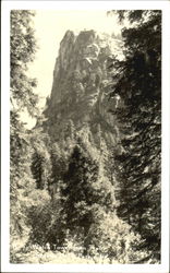 Watch Tower From Park Yosemite, CA Yosemite National Park Postcard Postcard