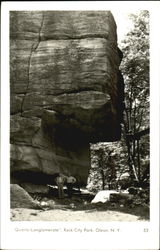 Quartz Conglomerate, Rock City Park Olean, NY Postcard Postcard