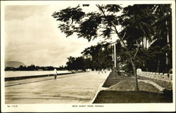 New Coast Road Postcard