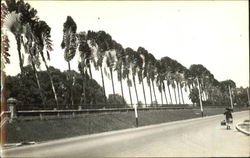 Road Scene Postcard