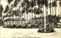 A View Of Crescent Flats Postcard