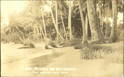 Playas De Mayaguez Postcard