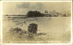 Plentation Blankenburg Postcard