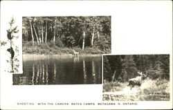 Shooting With The Camera Bates Camps Postcard