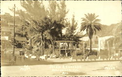 Jardin A. Obregon Manzanillo, COL Mexico Postcard Postcard